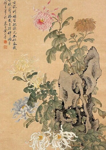 霜降，菊恋