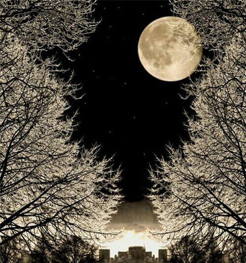 【美图】秋月无边:一样的佳节 不一样的景色