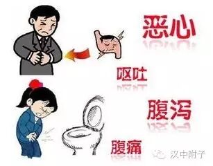 附子理中丸：治疗阳气不足腹脏寒凉