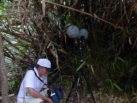 【思逸言遒话环绕】第三季第四集：《真功夫》篇之四-影音新生活