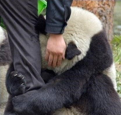 丑陋与柔情！这些照片你看过吗？206 / 作者:糖醋排骨 / 帖子ID:111988