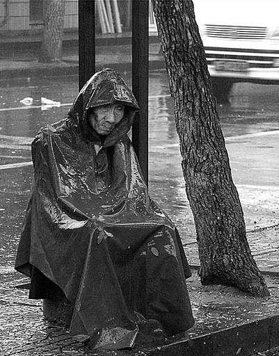 丑陋与柔情！这些照片你看过吗？971 / 作者:糖醋排骨 / 帖子ID:111988