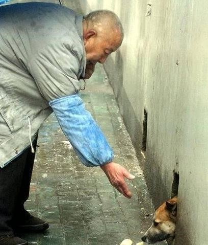 丑陋与柔情！这些照片你看过吗？57 / 作者:糖醋排骨 / 帖子ID:111988