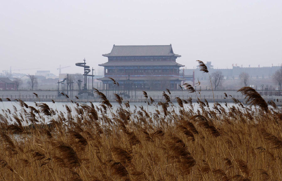 阳光  生活  激情--露营之家 露营之家山东东平(图4)