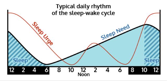 睡眠曲线