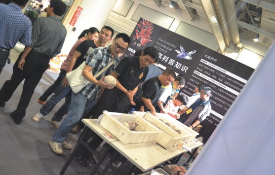 中国（长沙）国际矿物宝石博览会 自然遗产
