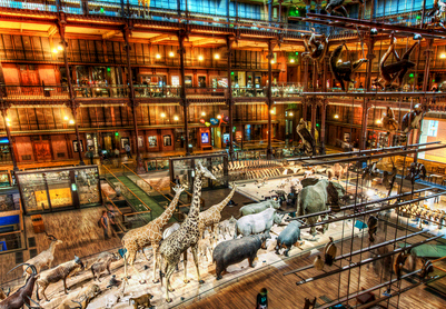 中国（长沙）国际矿物宝石博览会 博物馆