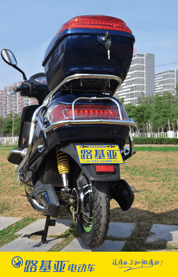 合肥电动车,路基亚电动车