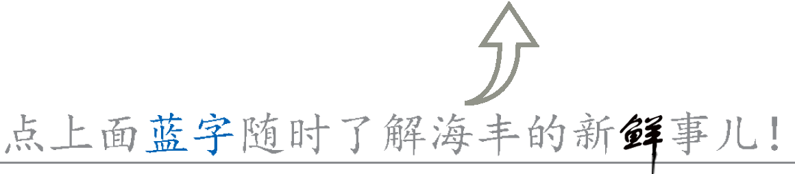 探访：汕尾黎氏台冲乡&ldquo;和平围&rdquo;俗称，&ldquo;寨内&rdquo;，武进士黎梦连