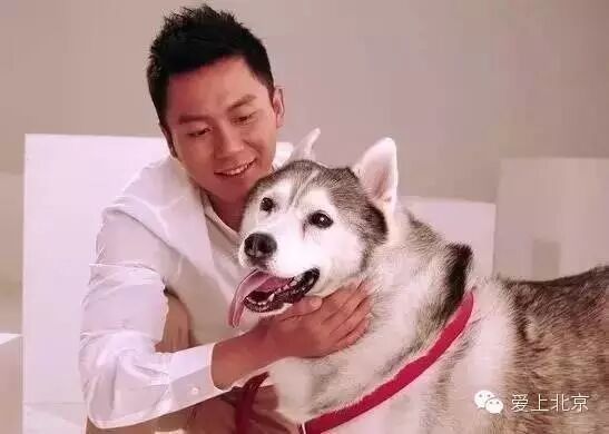 李晨被聘任为北京环保公益大使,为什么是他呢?