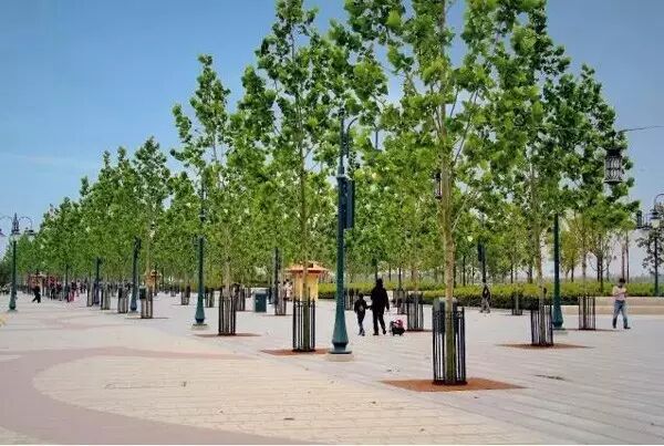 迪士尼55亿美元施工费遭万达质疑