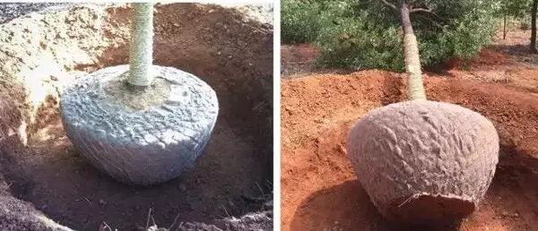 迪士尼55亿美元施工费遭万达质疑