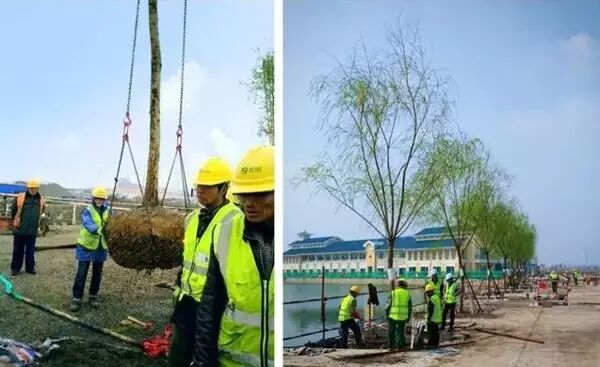 迪士尼55亿美元施工费遭万达质疑