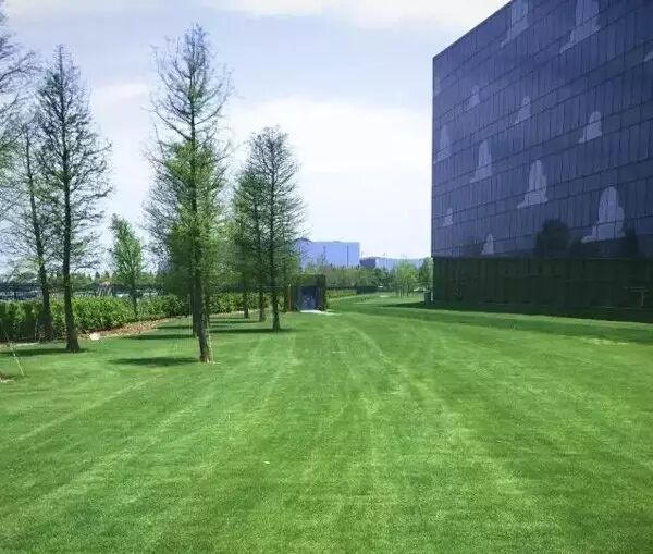 迪士尼55亿美元施工费遭万达质疑