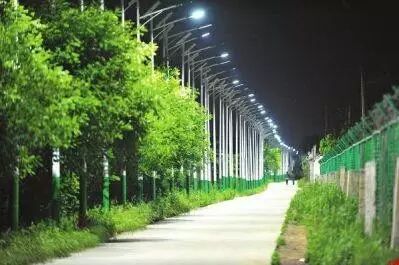 4公里路装700盏路灯 最小间距5米 谁干的？