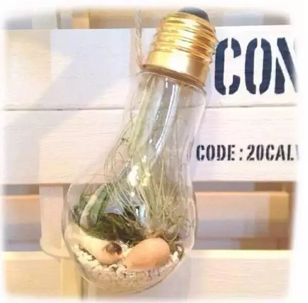 区区100日元的破灯泡 在日本家饰界却成了香饽饽！