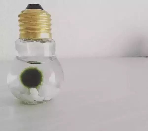 区区100日元的破灯泡 在日本家饰界却成了香饽饽！