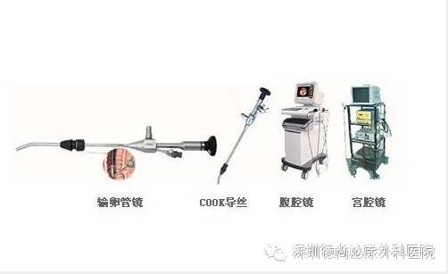 |暖新闻|千里传音报喜讯,结婚了,怀孕了,真心感激吴主任-怀孕期