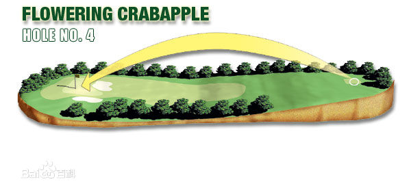奥古斯塔18球洞图文攻略! 奥古斯塔18球洞图文攻略!