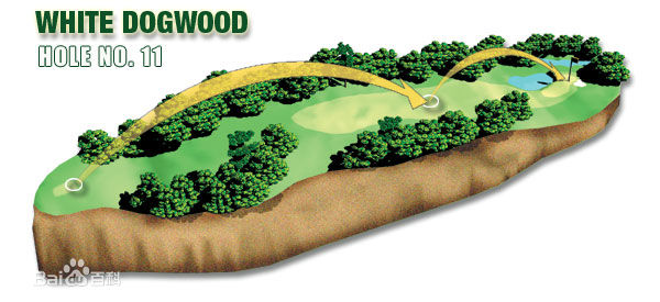 奥古斯塔18球洞图文攻略！