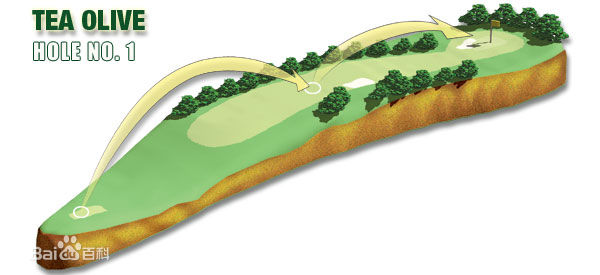 奥古斯塔18球洞图文攻略！