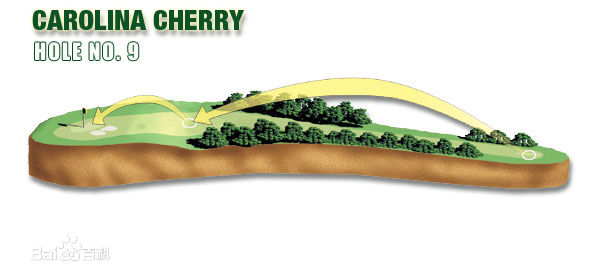 奥古斯塔18球洞图文攻略！