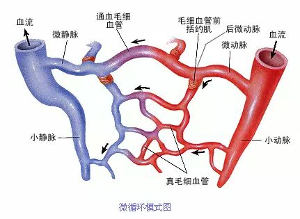 请相信美容院的经络疏通