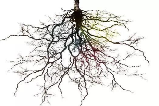 请相信美容院的经络疏通