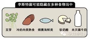 懷孕期間到底應該怎麼吃？《網路文章》