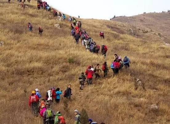 登山運動好處多