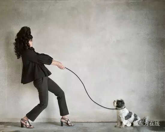 自由摄影师_自由摄影师的收入来源(3)