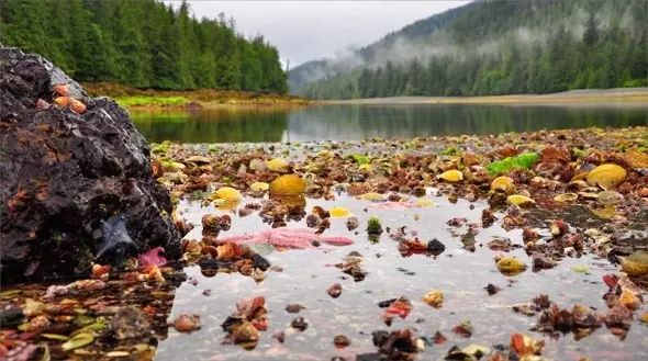 gwaii haanas national park reserve 图/pc.gc.