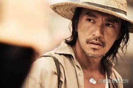 2016明星片酬对比,最高竟然不是黄渤