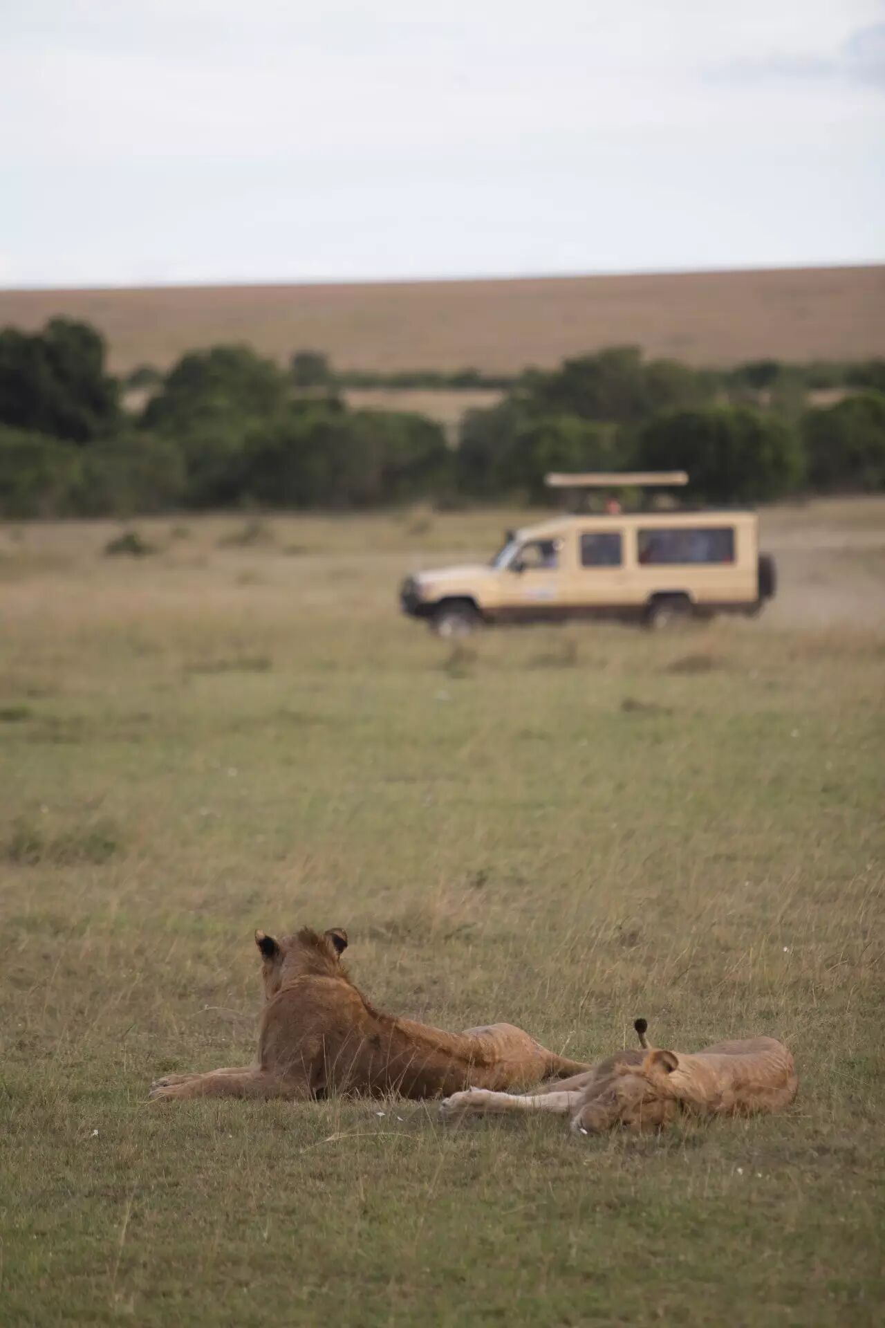中国肯尼亚时差_肯尼亚和中国的时差_肯尼亚时差