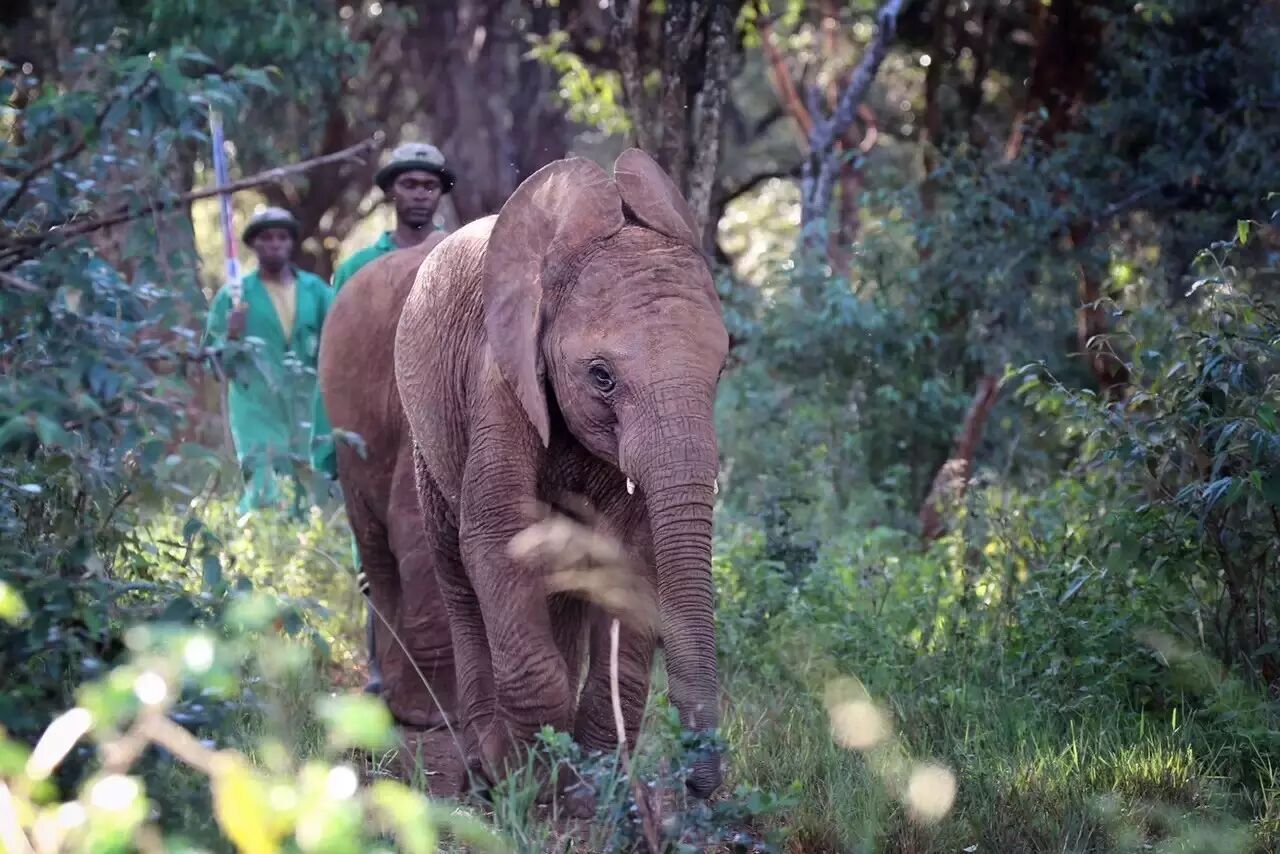肯尼亚时差_肯尼亚和中国的时差_中国肯尼亚时差