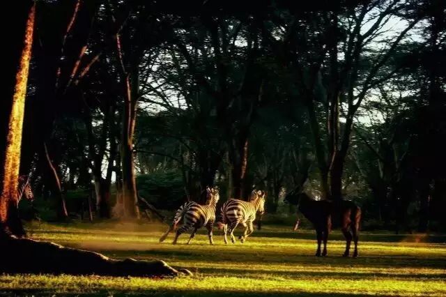 中国肯尼亚时差_肯尼亚时差_肯尼亚和中国的时差