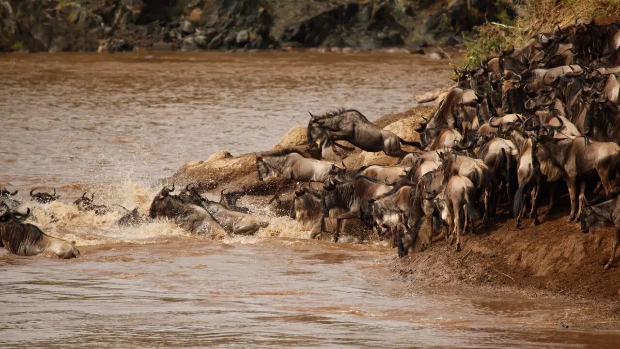 肯尼亚和中国的时差_中国肯尼亚时差_肯尼亚时差