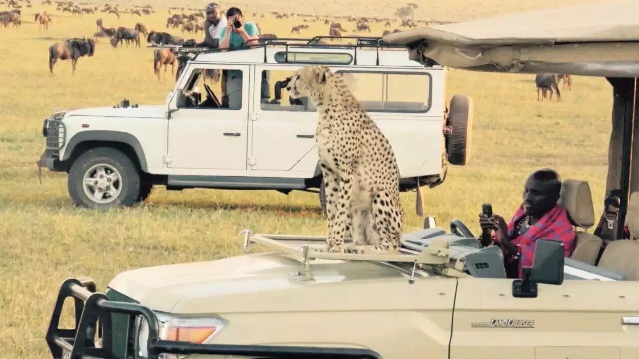 肯尼亚时差_中国肯尼亚时差_肯尼亚和中国的时差