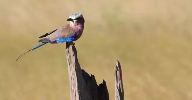 中国肯尼亚时差_肯尼亚时差_肯尼亚和中国的时差