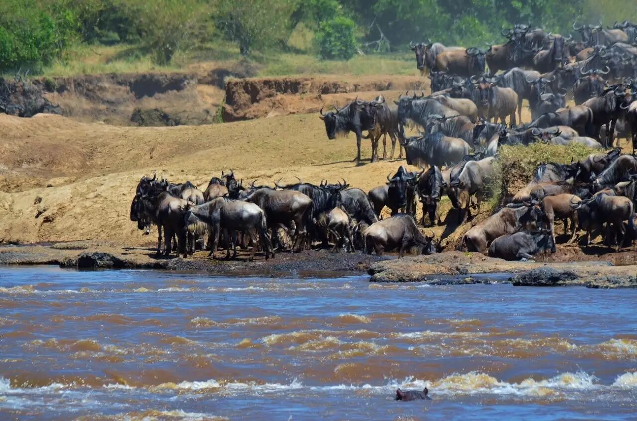 肯尼亚和中国的时差_中国肯尼亚时差_肯尼亚时差