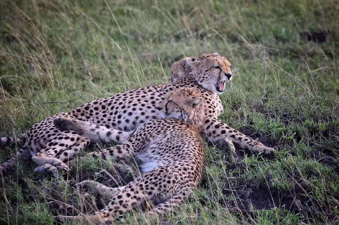 肯尼亚和中国的时差_中国肯尼亚时差_肯尼亚时差
