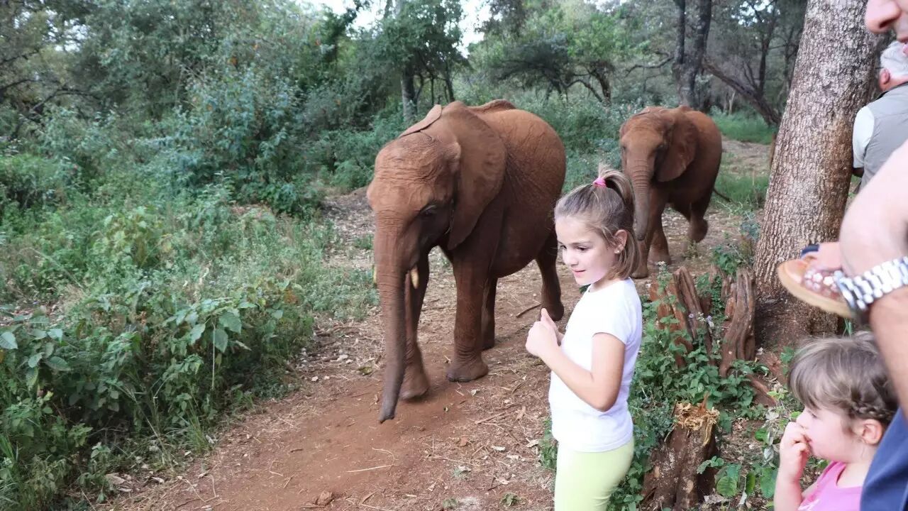 肯尼亚和中国的时差_肯尼亚时差_中国肯尼亚时差