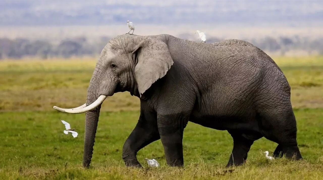 肯尼亚时差_肯尼亚和中国的时差_中国肯尼亚时差
