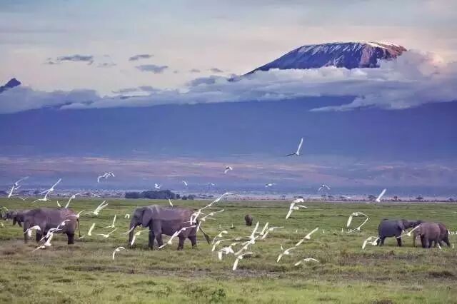 肯尼亚时差_中国肯尼亚时差_肯尼亚和中国的时差