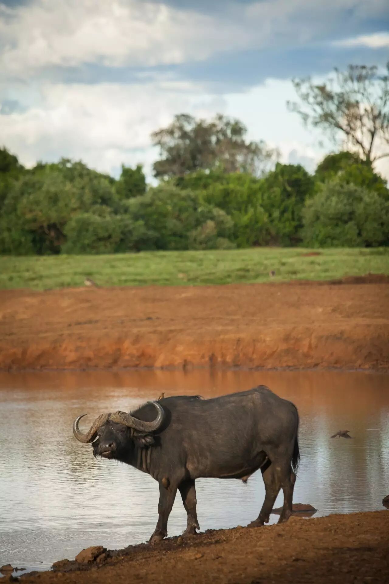 中国肯尼亚时差_肯尼亚时差_肯尼亚和中国的时差