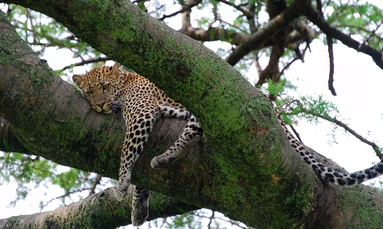 肯尼亚时差_肯尼亚和中国的时差_中国肯尼亚时差