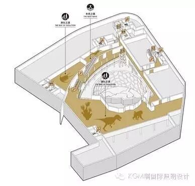 KGM瑞 ∣ 光述自然之史 · 上海自然博物馆室内展陈照明设计（下）