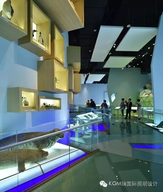 KGM瑞 ∣ 光述自然之史 · 上海自然博物馆室内展陈照明设计（下）