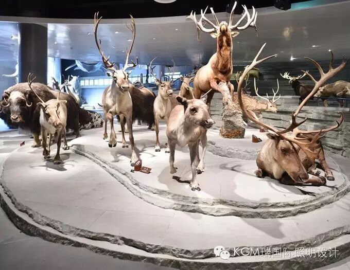 KGM瑞 ∣ 光述自然之史 · 上海自然博物馆室内展陈照明设计（下）