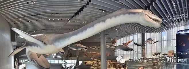 KGM瑞 ∣ 光述自然之史 · 上海自然博物馆室内展陈照明设计（下）